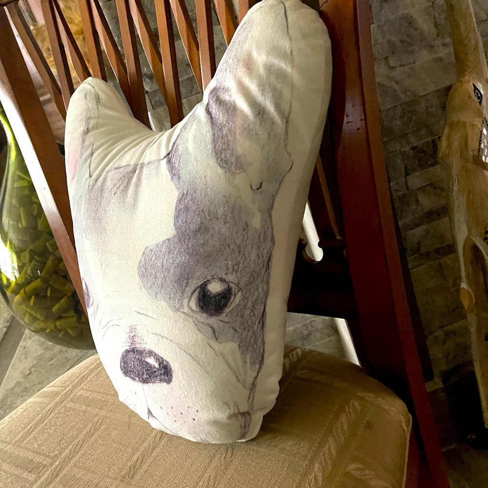 Decorative frenchie pillow 🐶